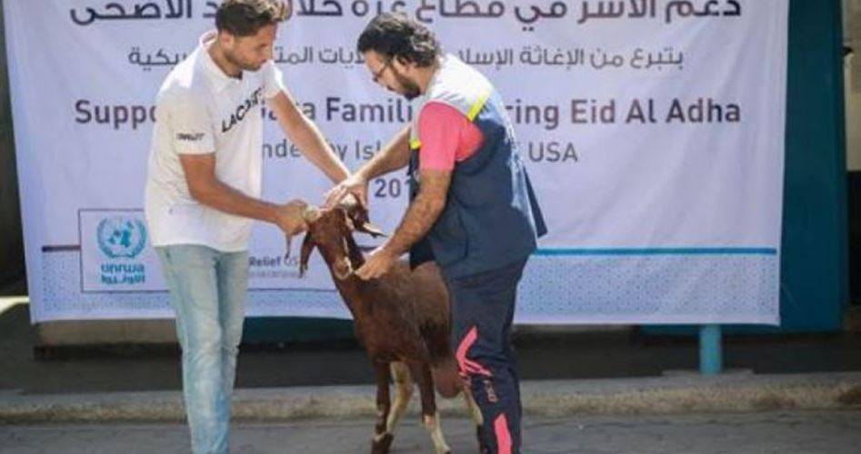 Kapan Niat Kurban Dilakukan, Haruskah saat Penyembelihan? – Islampos